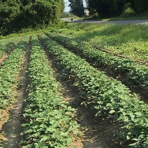 Meet your Posher, Jose